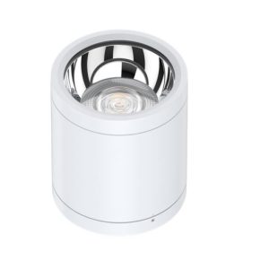 LED Can Downlight - 10W - 4000K - White - IP65