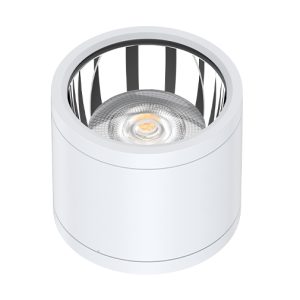 POWER-LITE LED CAN DOWNLIGHT IP65
